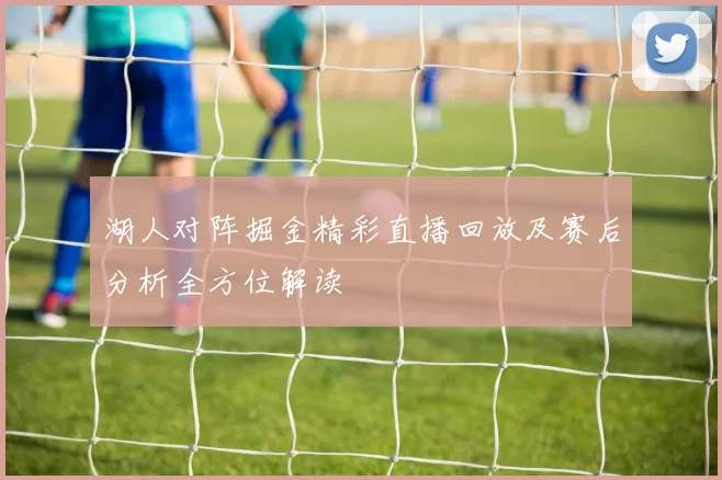 湖人对阵掘金精彩直播回放及赛后分析全方位解读