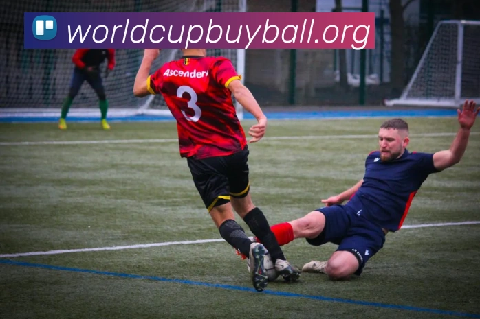 多媒体互动体验